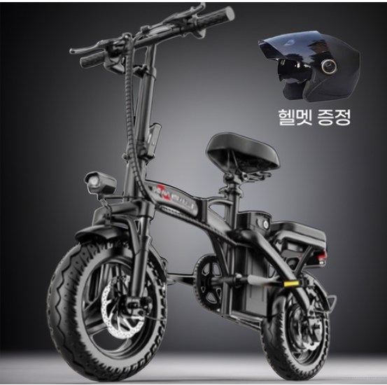 GT 접이식 전기자전거 48V